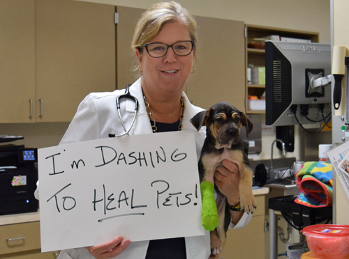 OHS Veterinarian: I’m Dashing to Heal Pets