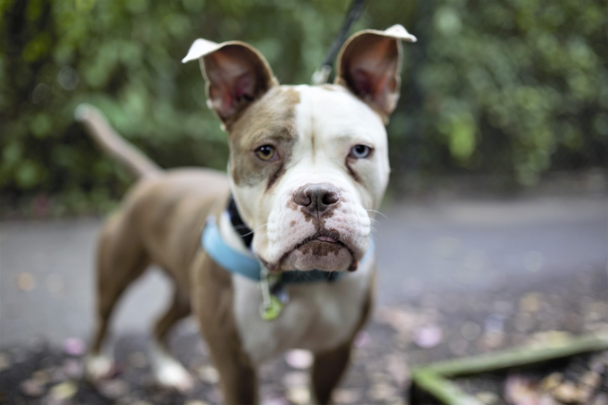 You Gotta Have Faith