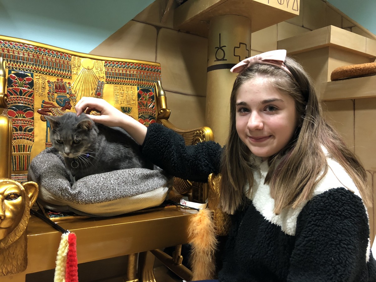 OHS Finds Home for 11,000th Pet of 2017