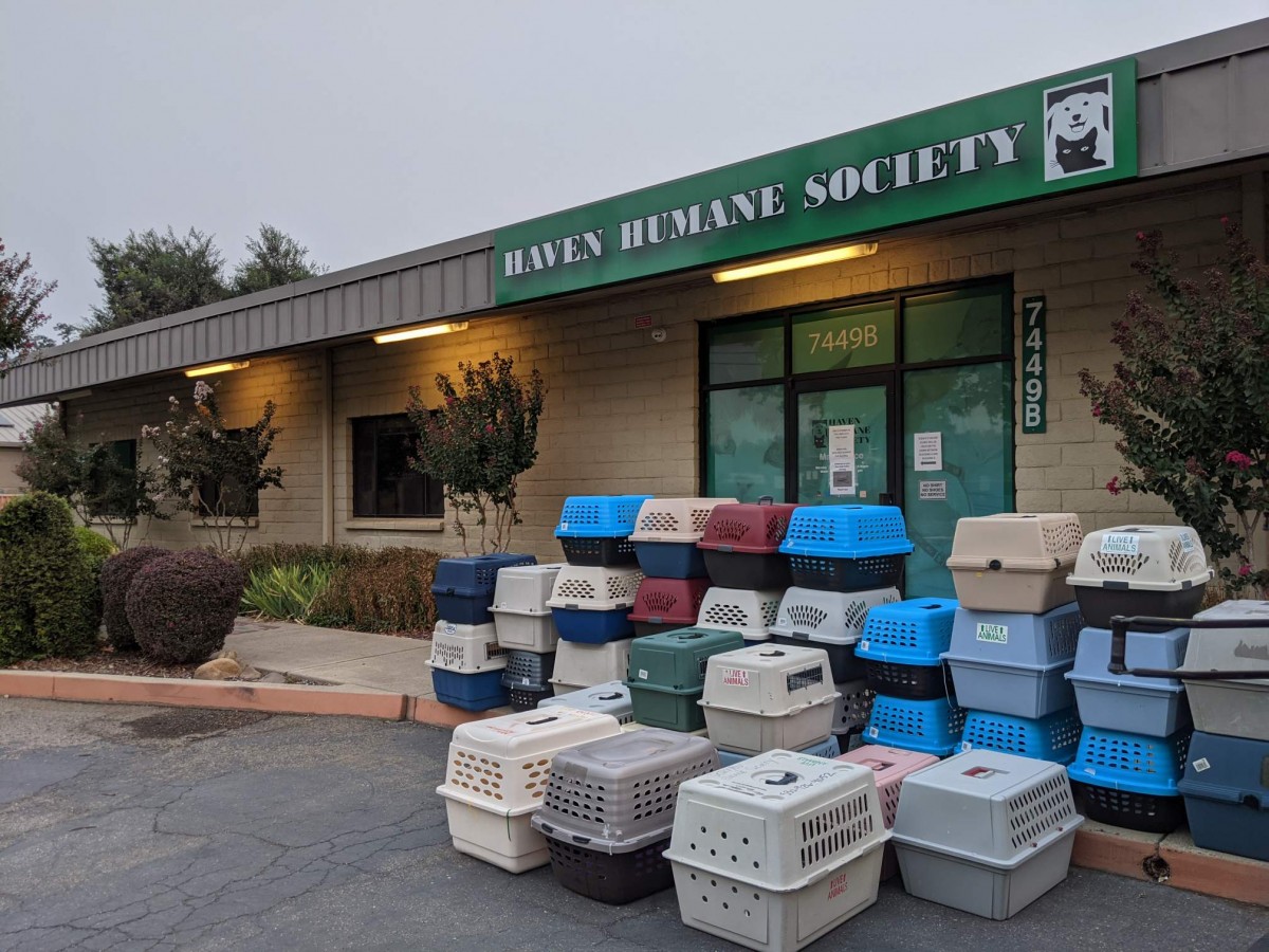 OHS assists pets affected by California wildfires