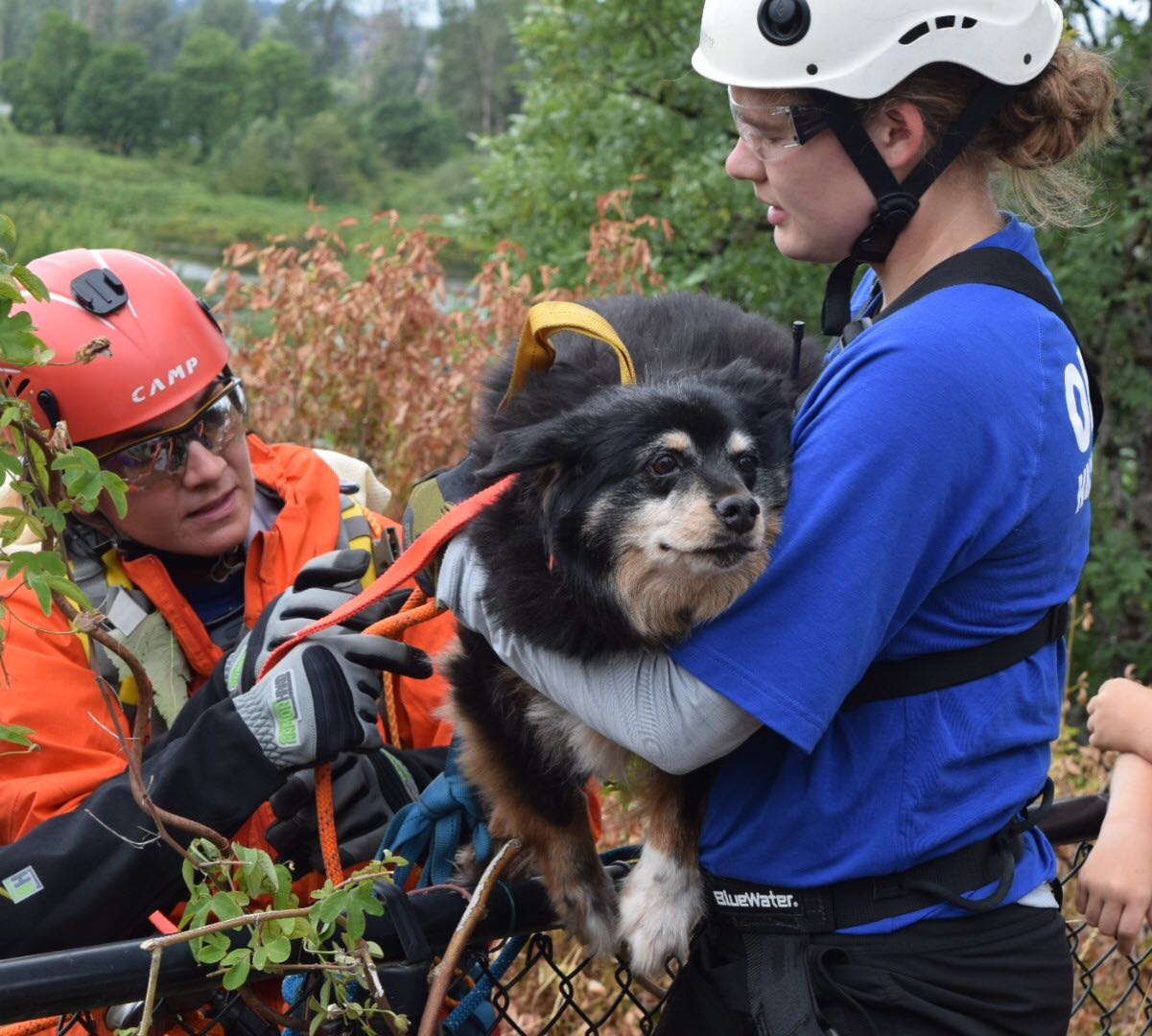 Oregon Humane Society Rescues Stranded Dog in Canby