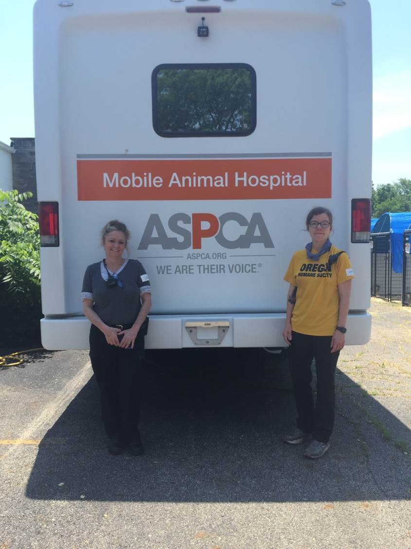 OHS Emergency Response Volunteers Assist ASPCA with Ongoing Rescues