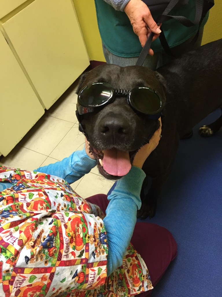 Lou at Laser Therapy