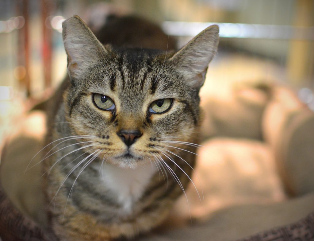 Maggie's Medical Makeover