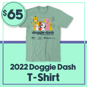 DD22 t-shirt