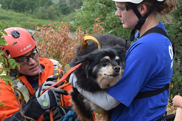 OHSTAR: OHS Emergency Animal Rescue Team