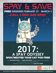 Spay Odyssey English