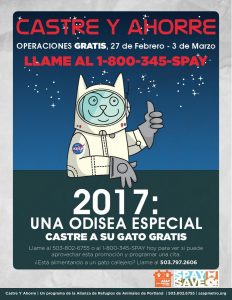 Spay Odyssey Spanish