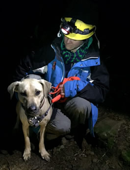 OHSTAR team rescues dog in Columbia Gorge.