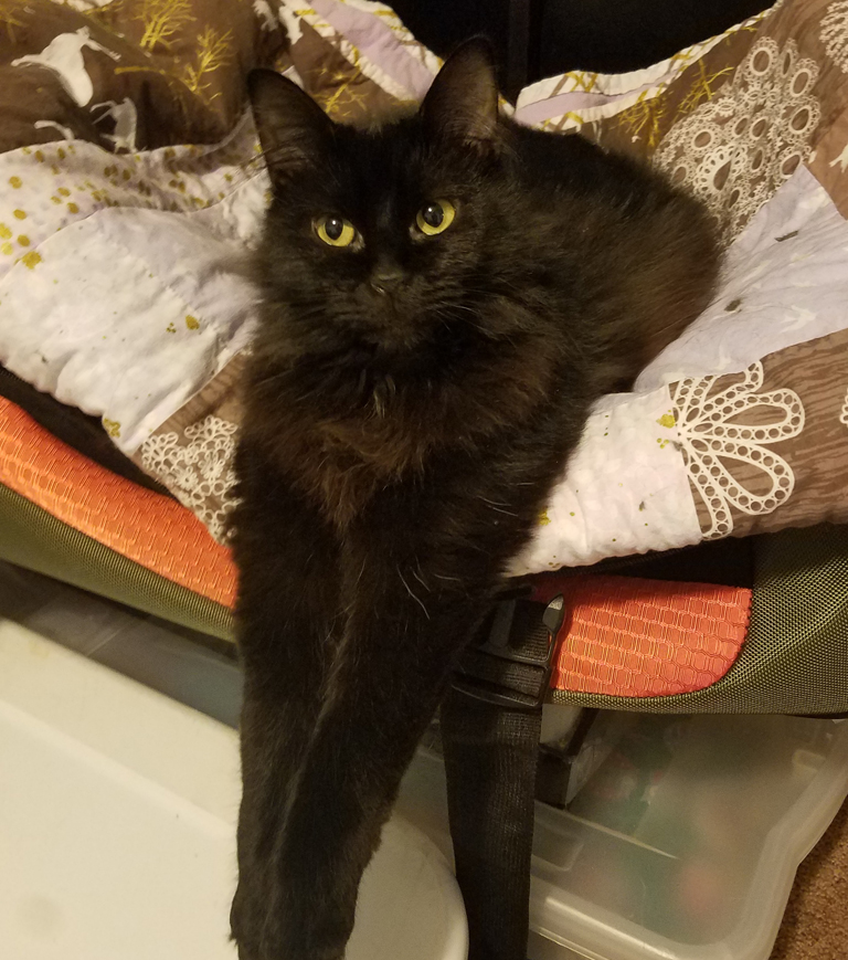 Schumer Learns to Trust Again