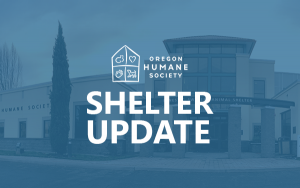 shelter update
