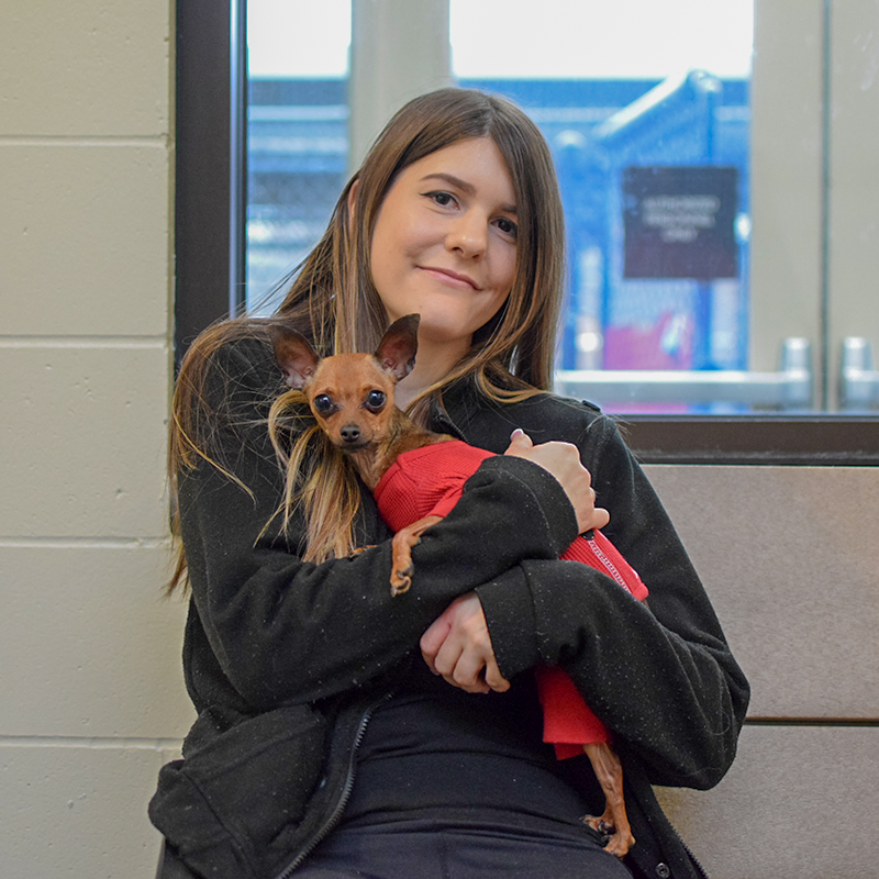 OHS Finds Home for 11,000th Pet of 2018