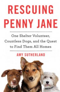 Rescuing Penny Jane