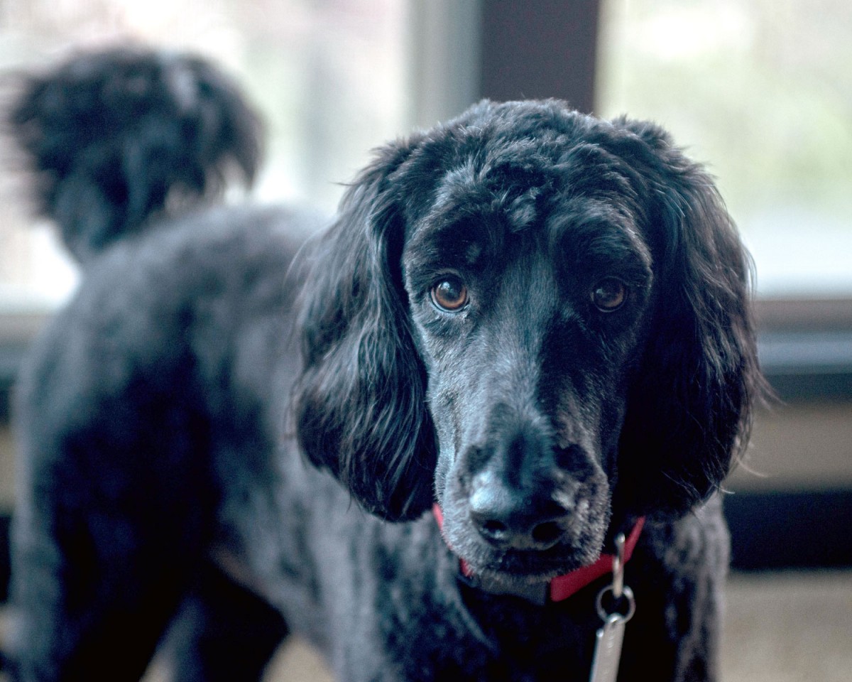 Photo Contest Winners 2017