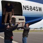 50 cats and 5 dogs from Beaumont Animal Care in Texas arrive in Oregon.