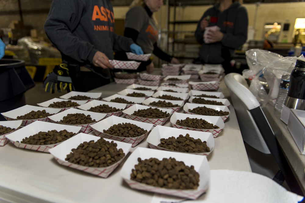 Preparing hundreds of meals each day. Photo by ASPCA