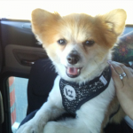 buster home