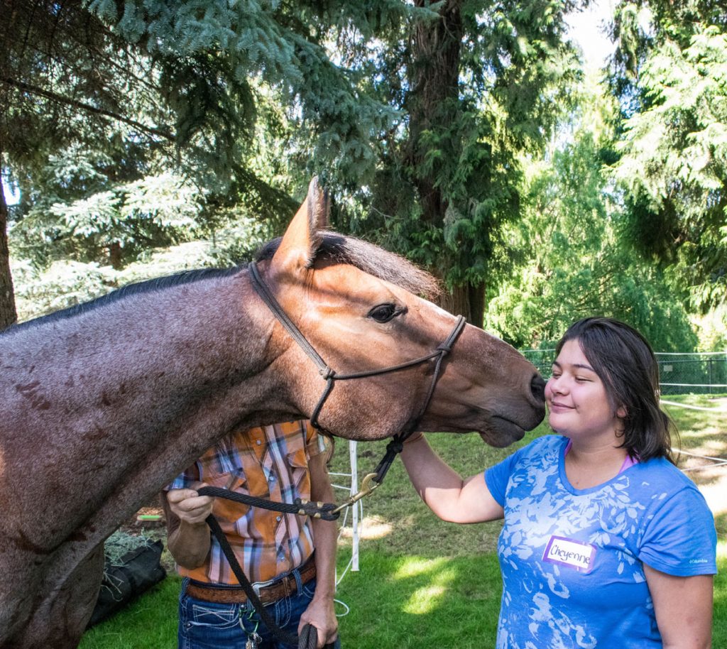 Horse nuzzles