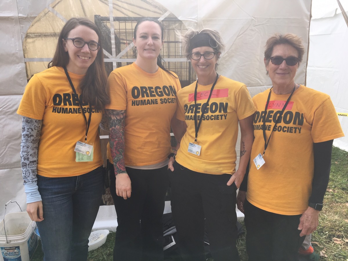 Oregon Humane Society deploys second team to help with Camp Fire response