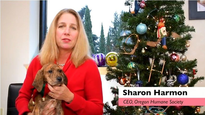 Looking Back at 2017: Many Tails to Tell