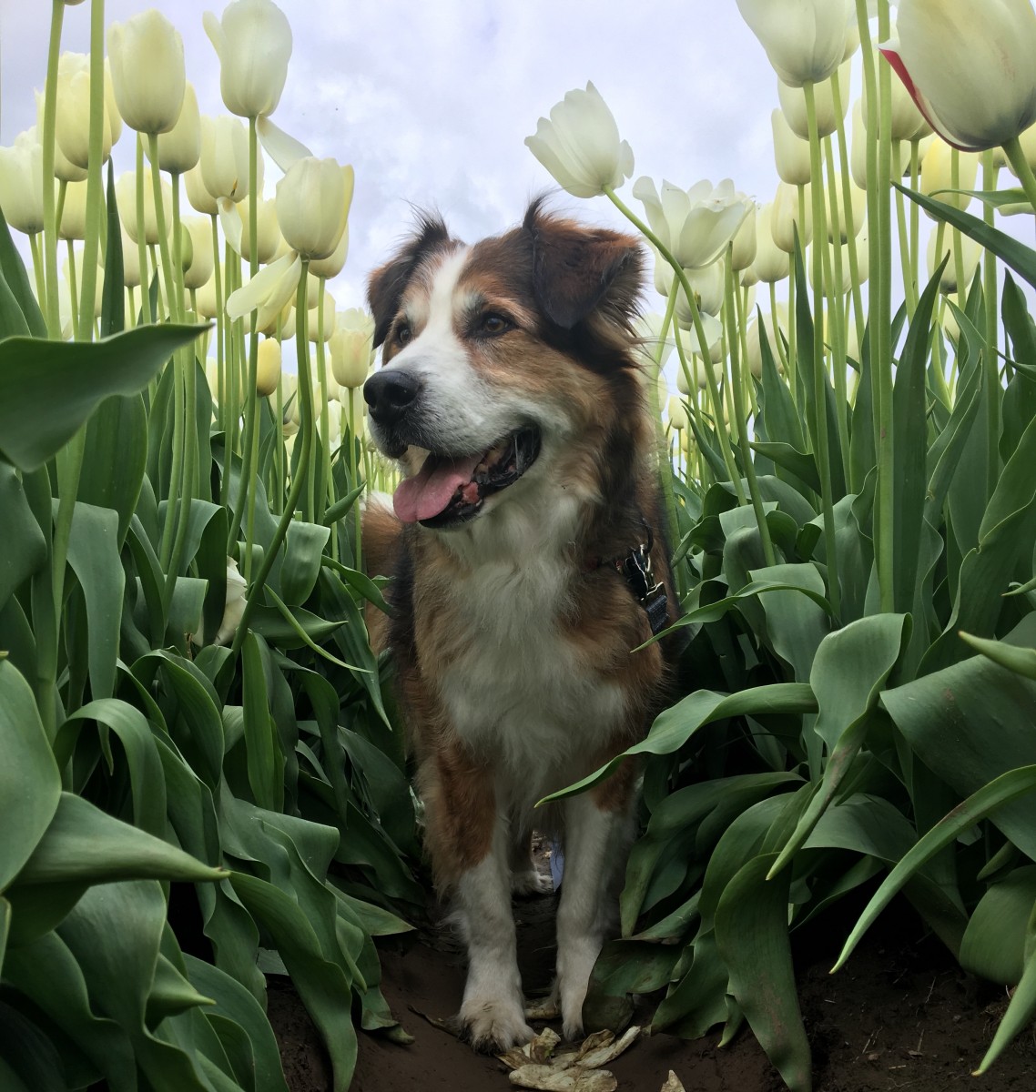 2019 OHS Photo Contest Winners