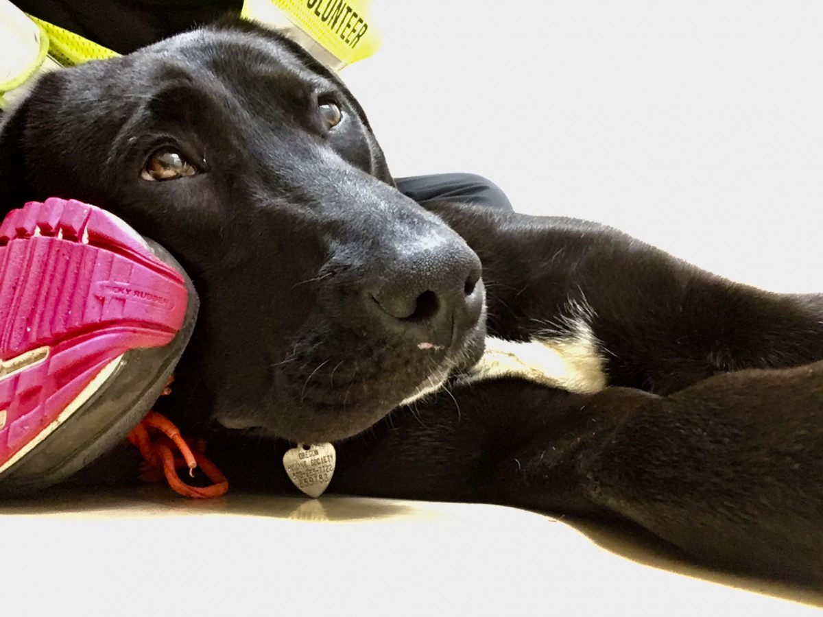 Logging Miles and Saving Lives