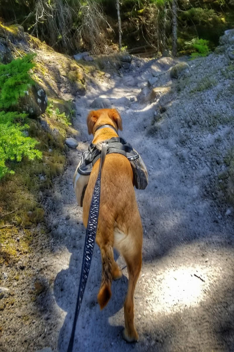 Hitting the Trails….and Staying Safe