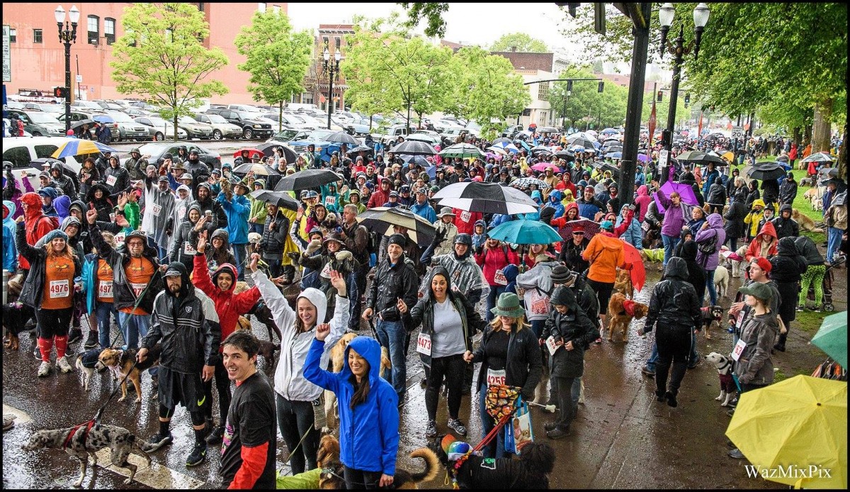 Doggie Dash 2017 Photos & Video